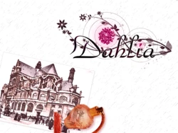[Cosmillica] Dahlia