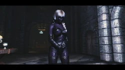 [Skyrim] The Dark Elf apprentice of Winterhold Academy