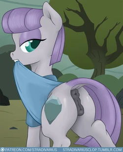 [Stradivarius] Maud Pie (My Little Pony: Friendship is Magic)