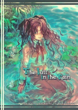 (C68) [Washi to Namaridama (Shiina Syu, Fujikawa Akira)] The Lull in the rain (Fate/stay night) [Chinese]