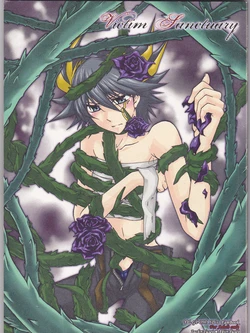 (C75) [Soraironoenogu (Kanei Yoh)] Victim Sanctuary (Yu-Gi-Oh 5D's)