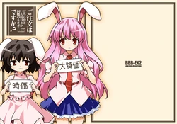 (C86) [BBB-EX2 (Akou Roushi)] Gochuumon wa Dochira ka to Ieba Tsuki toka Inaba no Usagi desu ka? (Touhou Project) [Chinese]