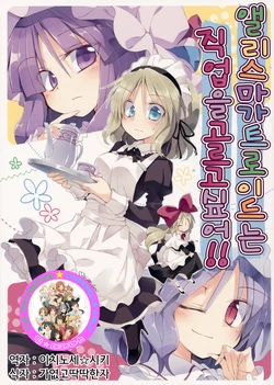 (C89) [Su-mi-tan (Satou Kibi)] Alice Margatroid wa Shigoto o Erabitai! | 앨리스 마가트로이드는 직업을 골고싶어!! (Touhou Project) [Korean] [팀☆데레마스]