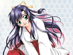 [Evolution] Ore no Miko-san