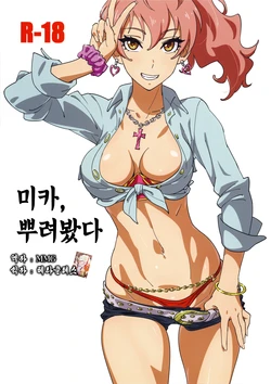 (C90) [SANDWORKS (Suna)] Mika Bukkaketa (THE IDOLM@STER CINDERELLA GIRLS) [Korean] [MMG]