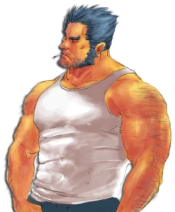 [Collection] Logan (Wolverine) PACK I [Bara]