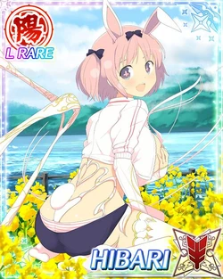Senran Kagura New Wave Hibari Collection