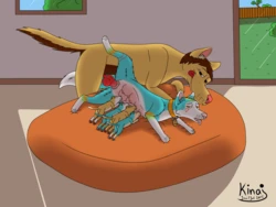 Random Canine Ferals