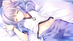 [Palette-Qualia] BugBug 2016-12 "Otome * Domain" Tokusei Append Data