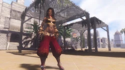 Skyrim Zaynab the Hammerfell warrior