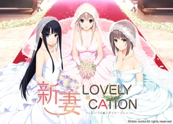 [hibiki works] Niiduma Lovely X Cation