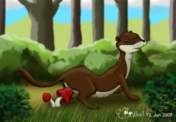 The Animals of Farthing Wood (RYC)