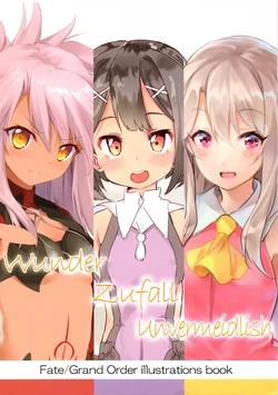 (C91) [EuphoricSYM. (Various)] Wunder Zufall Unvermeidlish (Fate/Grand Order)