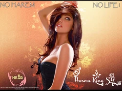 (Mimiket 35) [moriQ (Mori Airi)] Rem Nyan wa Hatsujouki (Re:Zero kara Hajimeru Isekai Seikatsu) [Vietnamese Tiếng Việt] [Harem King SG]