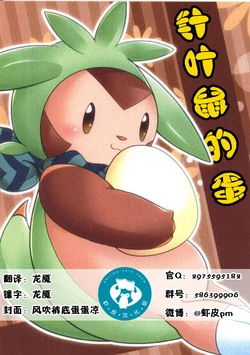 (C91) [BLACK FANG (Ryoutani Kana)] Harinezumi no Tamago | 针叶鼠的蛋 (Pokémon) [Chinese] [虾皮汉化组]