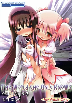 (C80) [Furaipan Daimaou (Chouchin Ankou)] THE WORLD SHE ONLY KNOWS (Puella Magi Madoka Magica) [Korean]
