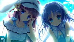 [CIRCUS] D.S. -Dal Segno- (Uncensored)