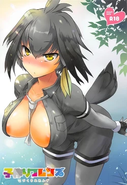 (COMIC1☆11) [Consava (Himeno Komomo)] Kozukuri Friends (Kemono Friends)