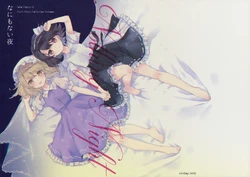 (Kagaku Seiki no Cafe Terrace 6) [airdrop (Torii Sumi)] Nanimonai Yoru | Nothing Night (Touhou Project) [English] [DB Scans]