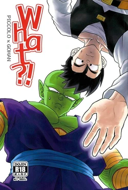 (C90) [Tousoku Chokusen Undou (Pain)] What?! (Dragon Ball Z)