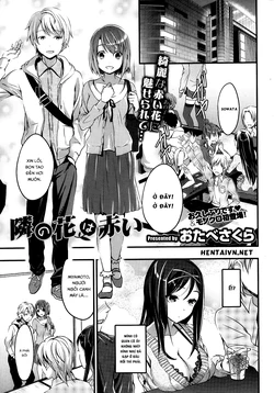 [Otabe Sakura] Tonari no Hana wa Akai | The red flower nearby (COMIC HOTMiLK 2013-11) [Vietnamese Tiếng Việt] [Hentailxers]