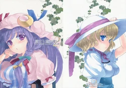 (C76) [Mokoya (Mokoko)] Majo to Mahoutsukai 2 (Touhou Project)