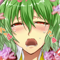 [Segami Daisuke] さくにゅうかりん (Touhou Project)