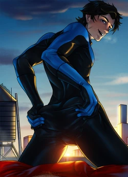 [Bludwing] Birdflash Nightwing CG Set (Batman)