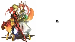 Fate/EXTRA material illustrations