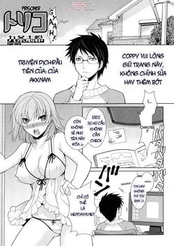 [Kujou Shirei] Toriko (Nyotaika Dynamites!) [Vietnamese Tiếng Việt] [akknam]