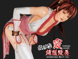 [gotonatural] Nukenin Kasumi Hokaku Ryoujoku (Dead or Alive)
