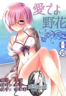 (COMIC1☆11) [brand nyu (nyu)] Medeyo Nobana (Fate/Grand Order) [Chinese] [靴下汉化组]