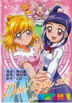 (Rainbow Flavor 16) [Kamitoride (Hanzou)] Don't you see! (Mahou Tsukai PreCure!) [Chinese] [加帕里汉化组]