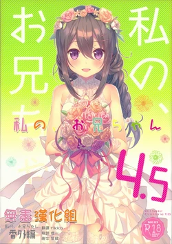 (C92) [TIES (Takei Ooki)] Watashi no, Onii-chan 4.5 Bangaihen [Chinese] [无毒汉化组]