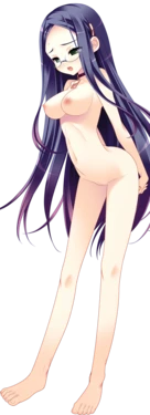 [SkyFish poco] Pochi to Goshujin-sama ♥  (Character set)