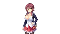 [softhouse-seal] JK Bitch Pakopako Life (Character set)