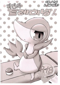 (Fur-st 4) [Nana-ya (Nana)] Himitsu no Training! | 비밀의 트레이닝! (Pokémon) [Korean] [LWND]