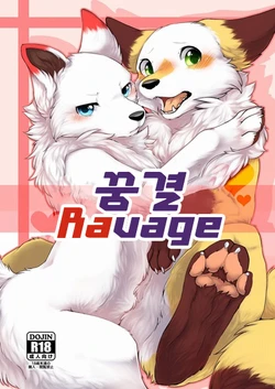 (Kansai! Kemoket 5) [D-Point! (Diga Tsukune)] Yume Utsutsu Lovage | 꿈결 Ravage [Korean] [TeamHT]