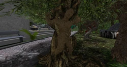 stonetalon event the tree