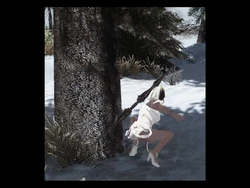 [Skyrim] Spider Play