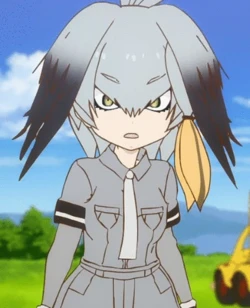ハシビロコウ