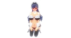 DoreiMaid (updated 04/14/2018)