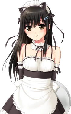 [Tanuki Soft] Bishoujo HD Edition (Character set)