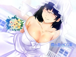 [Office Amagasa (Amagasa Higasa)] The CG Collection of My Wife - Epilogue