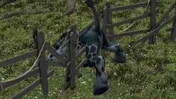 New Tauren warcraft art [Big-Bad-Dragon's Works]