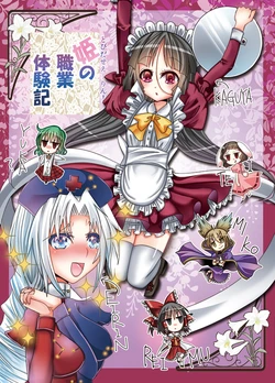 [Burning Soul (Sakayaki)] Hime no Shokugyou Taikenki (Touhou Project) [Digital]