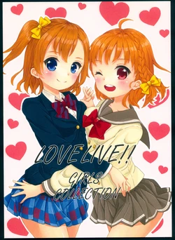 (C91) [Mikuzin] LOVELIVE!! GIRLS COLLECTION (Love Live!, Love Live! Sunshine!!)