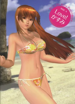 Dead or Alive Photobook Side A Love Kasumi