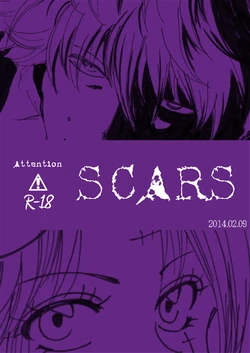 [A Joke is Hard!!! (Yanagi)] SCARS (Gintama)