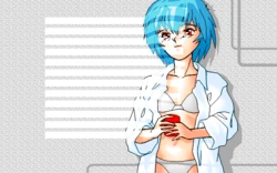 [Low Tech Team] Doushite Ii ka Wakaranai - Ayanami Rei Kannou Shashin Shuu